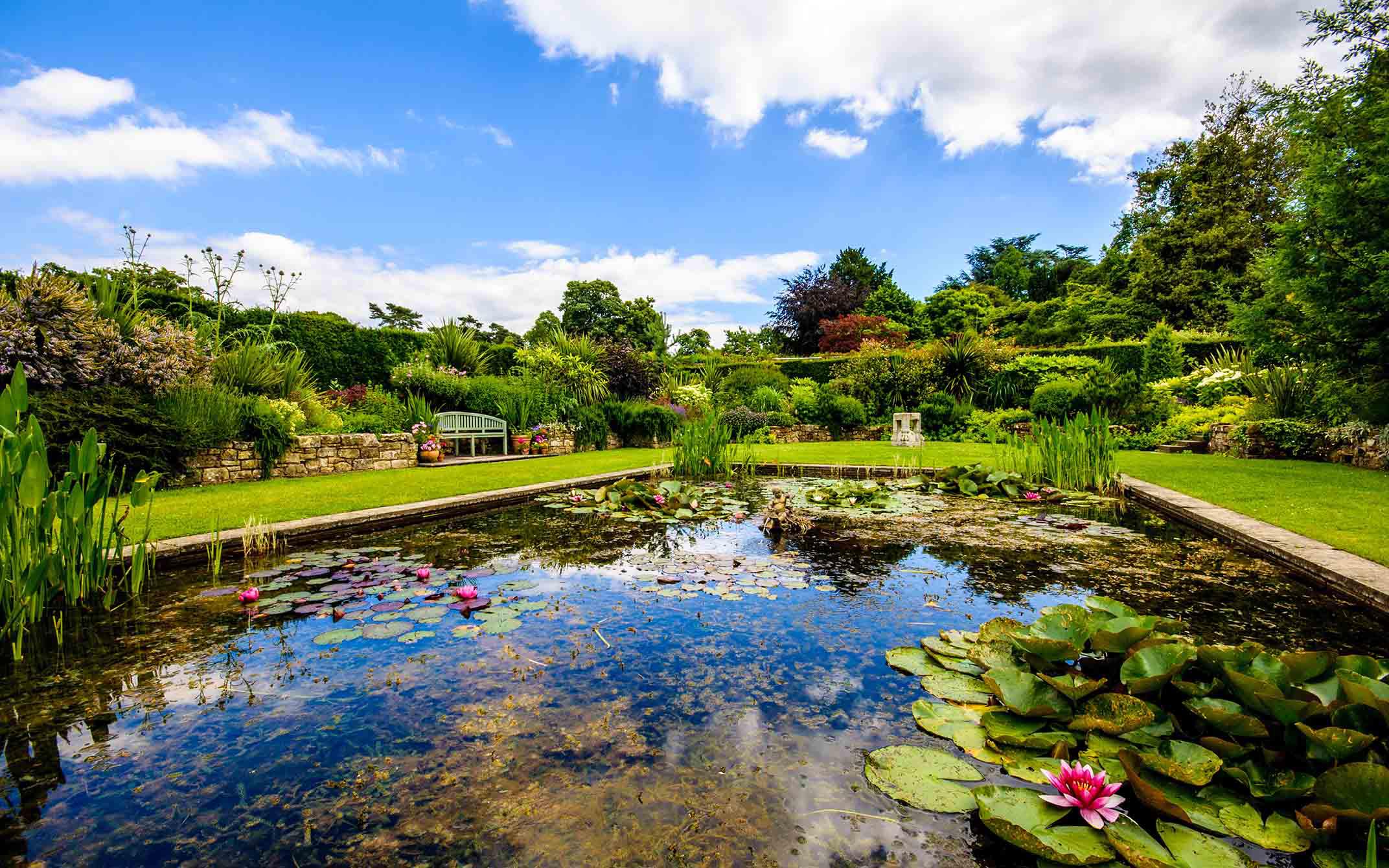 Haverejse til Cornwall, Dewon og Chelsea Flower Show